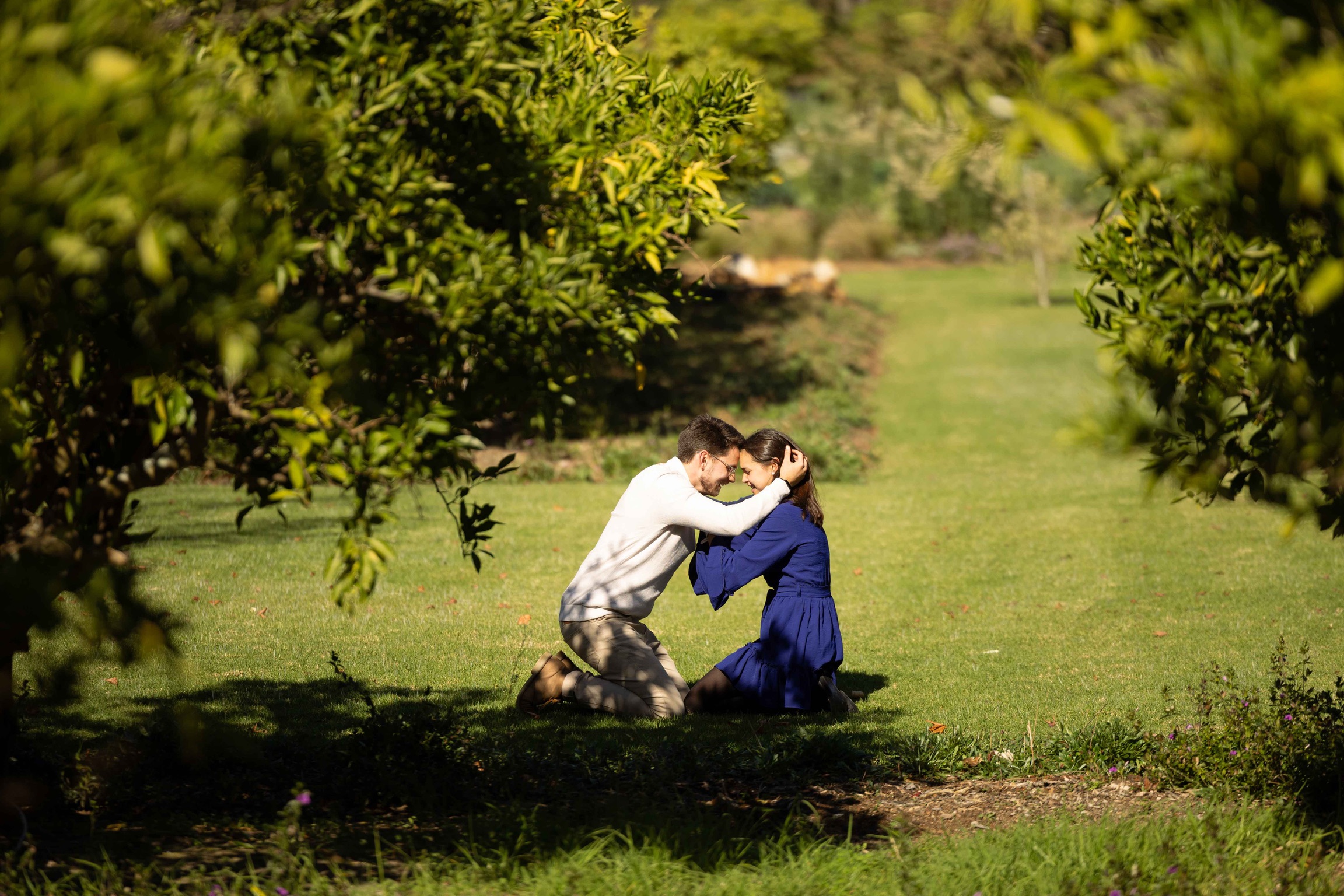 Jonty proposing on one knee